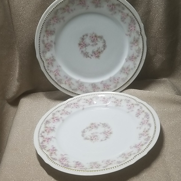 Limoges Elite Works Dining Limoges Elite Works China 2 Plates